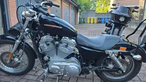 Harley-Davidson 883 (2006 - 07) - XL  (5)