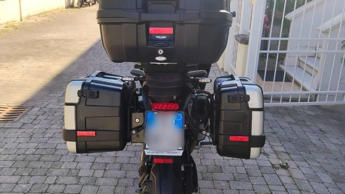 Triumph Tiger 1200 GT Pro (2022 - 23)  (3)