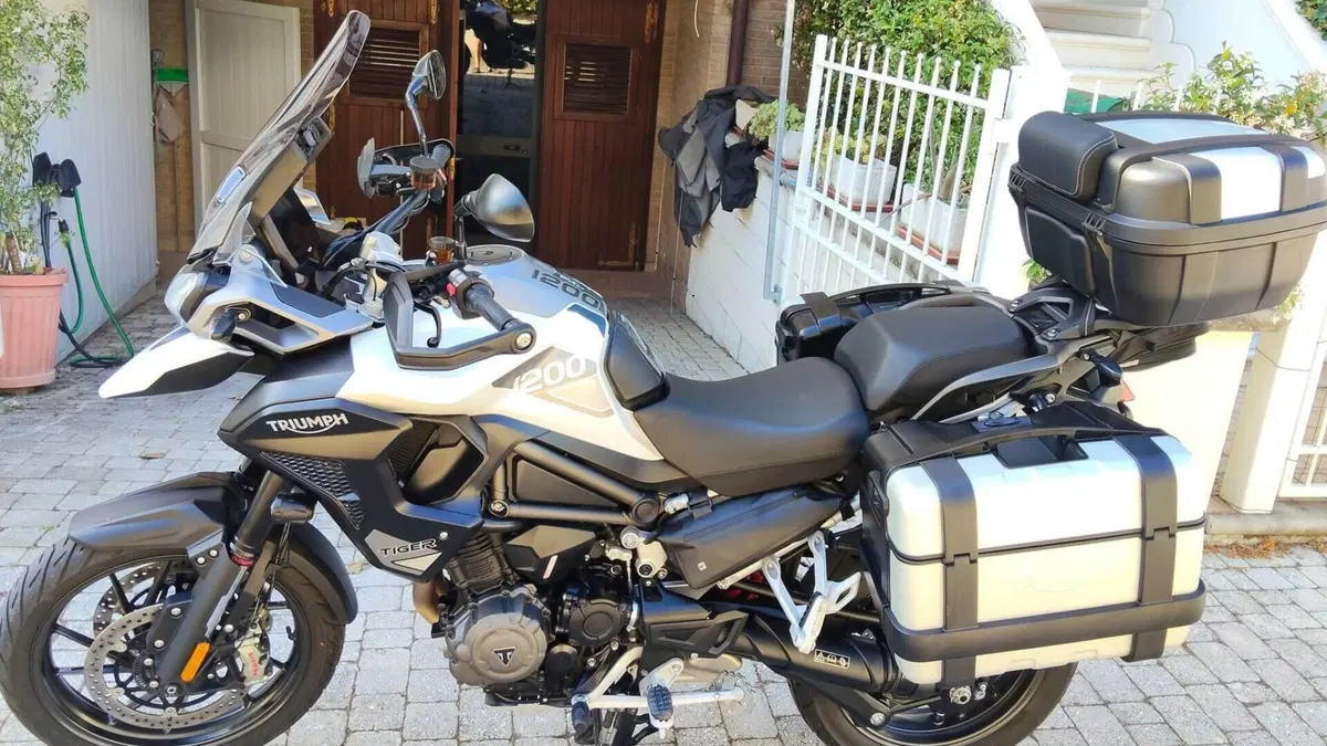 Triumph Tiger 1200 GT Pro (2022 - 23)  (5)