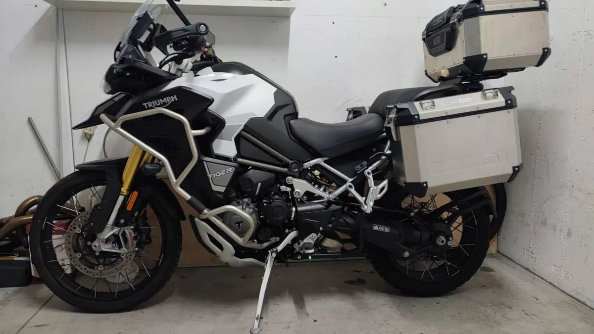 Triumph Tiger 1200 Rally Explorer (2022 - 23) 