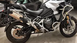 Triumph Tiger 1200 Rally Explorer (2022 - 23)  (2)