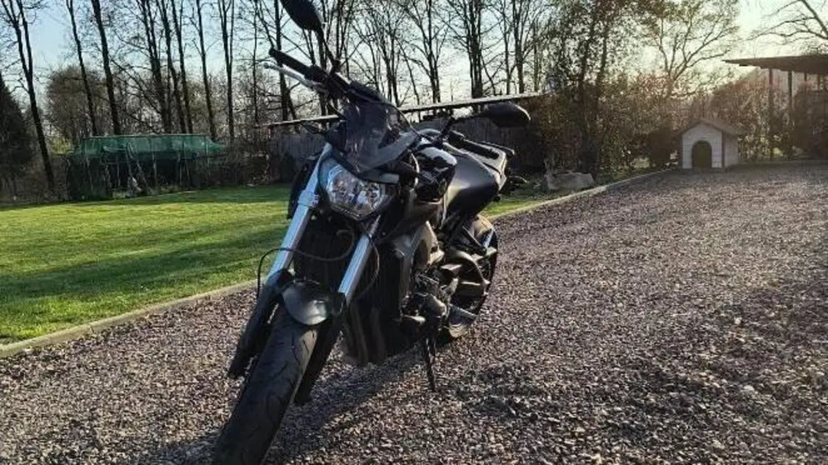 Yamaha MT-09 (2013 - 15)  (2)