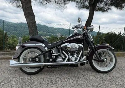 Harley-Davidson 1450 Springer Classic (2005) - FLSTSCI - Annuncio 10035104