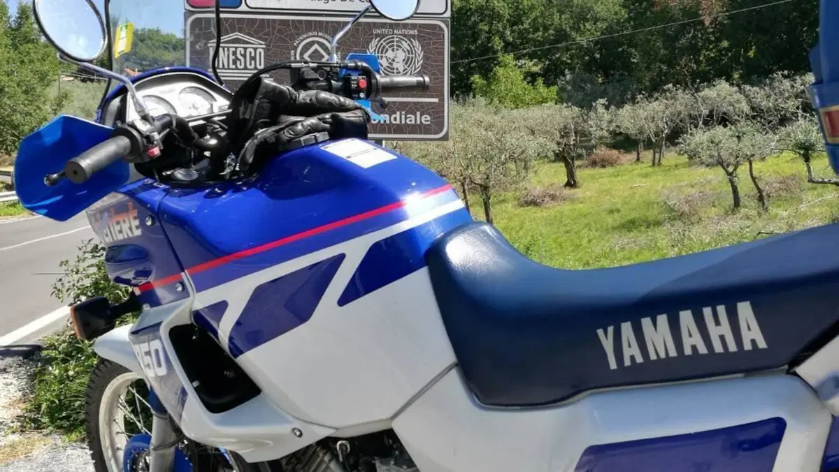 Yamaha XTZ 750 SuperTéneré (1989 - 98)  (4)