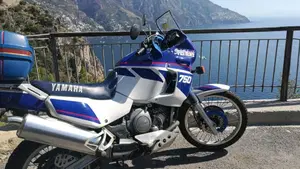 Yamaha   (2)
