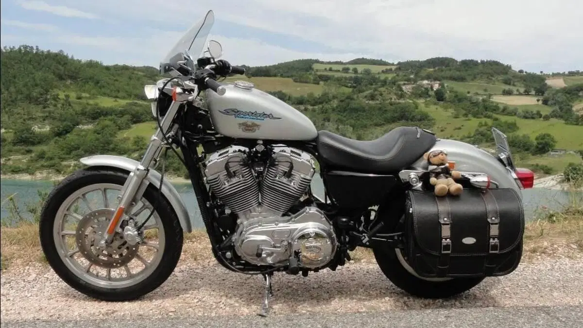 Harley-Davidson 883 Standard (2001 - 05) - XL 883 