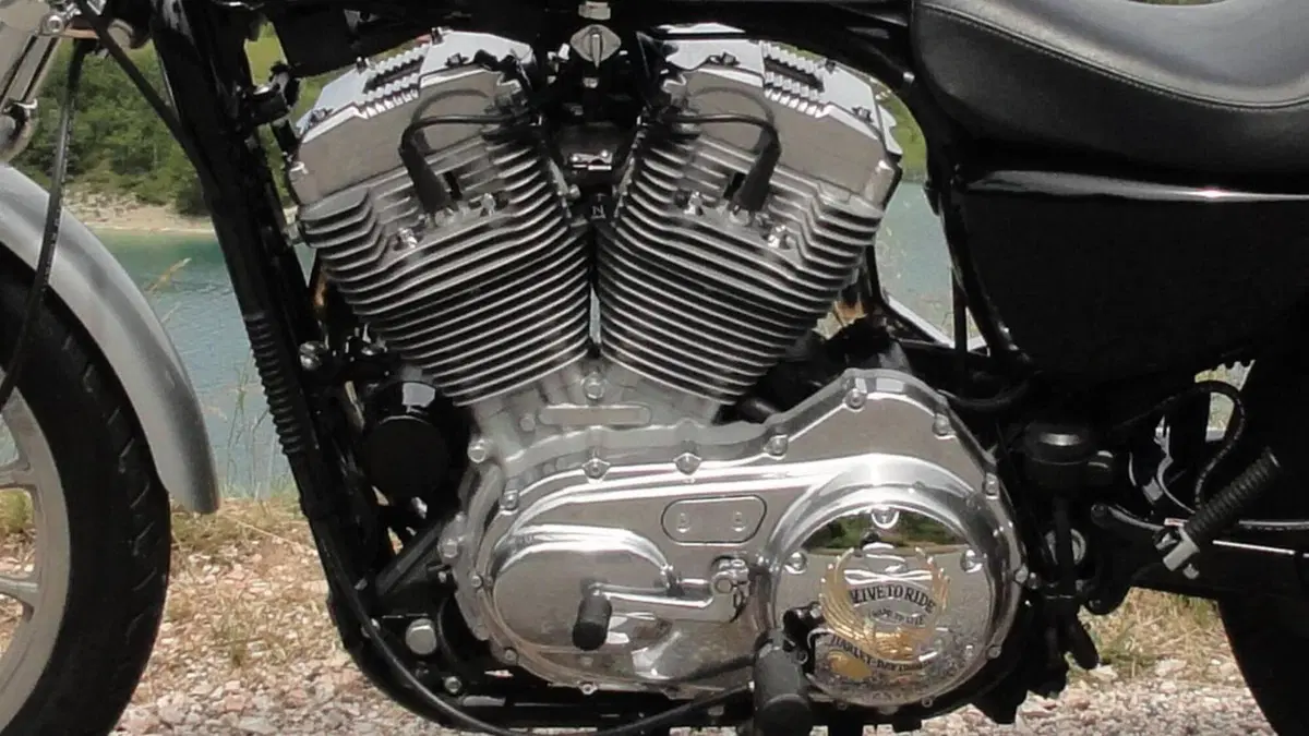 Harley-Davidson 883 Standard (2001 - 05) - XL 883  (2)