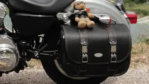 Harley-Davidson 883 Standard (2001 - 05) - XL 883  (3)