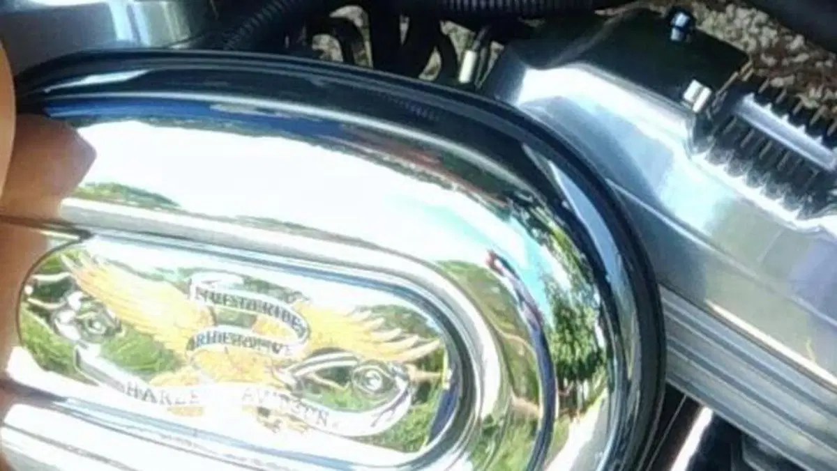 Harley-Davidson 883 Standard (2001 - 05) - XL 883  (5)