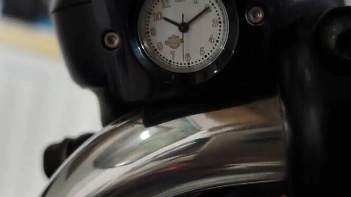Harley-Davidson 883 Standard (2001 - 05) - XL 883  (7)