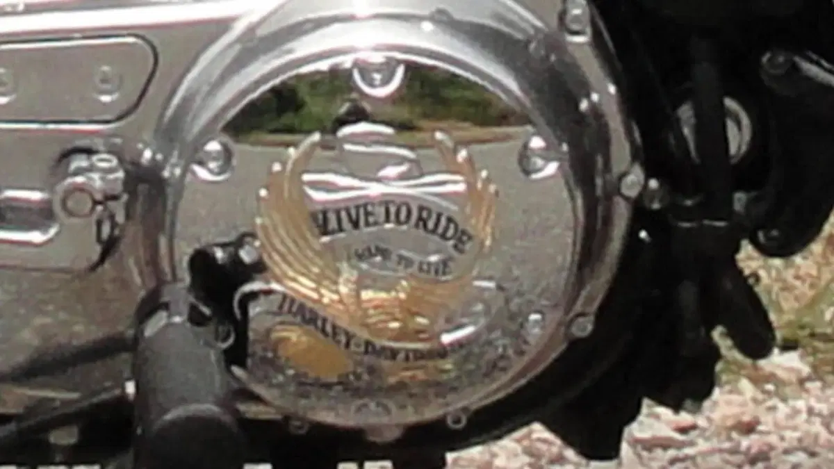 Harley-Davidson 883 Standard (2001 - 05) - XL 883  (8)