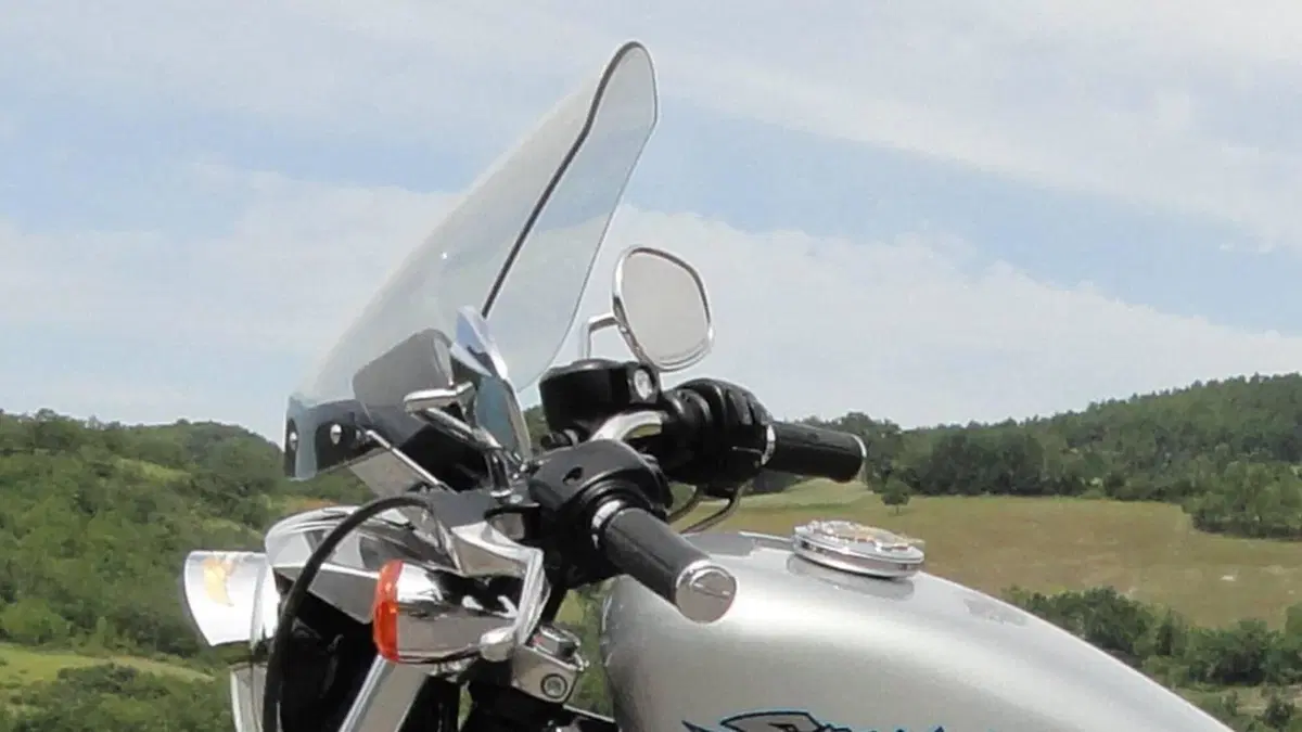 Harley-Davidson 883 Standard (2001 - 05) - XL 883  (9)