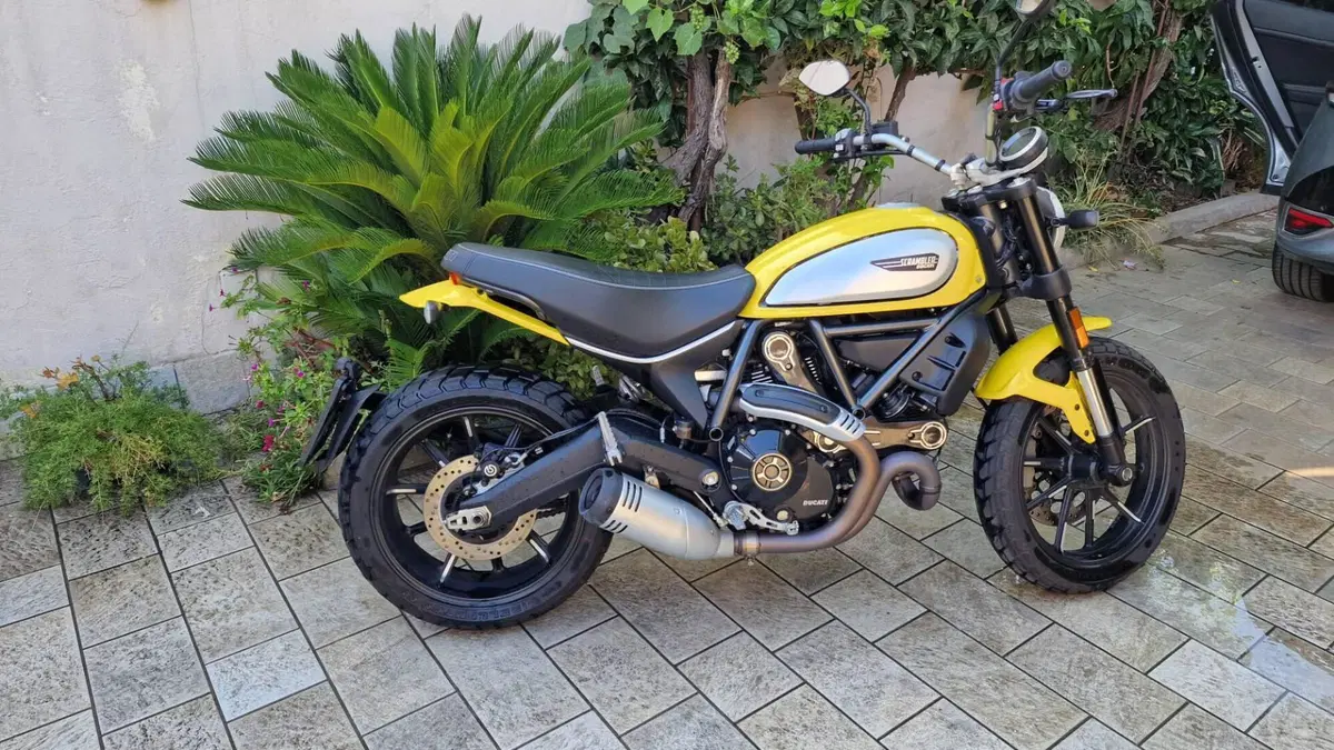 Ducati Scrambler 800 Icon (2021 - 22)  (6)
