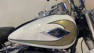 Harley-Davidson 1584 Heritage Classic (2008 - 10) - FLSTC  (4)