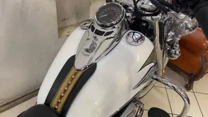 Harley-Davidson 1584 Heritage Classic (2008 - 10) - FLSTC  (9)