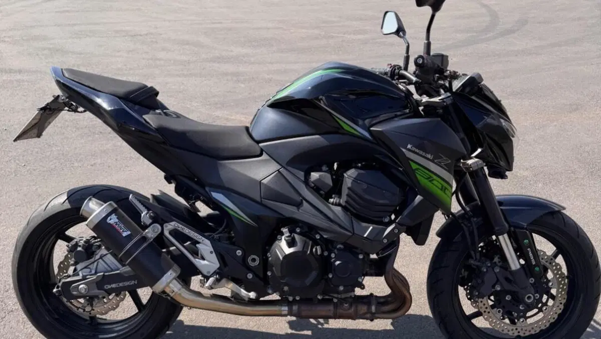 Kawasaki Z 800 e ABS (2012 - 16) 