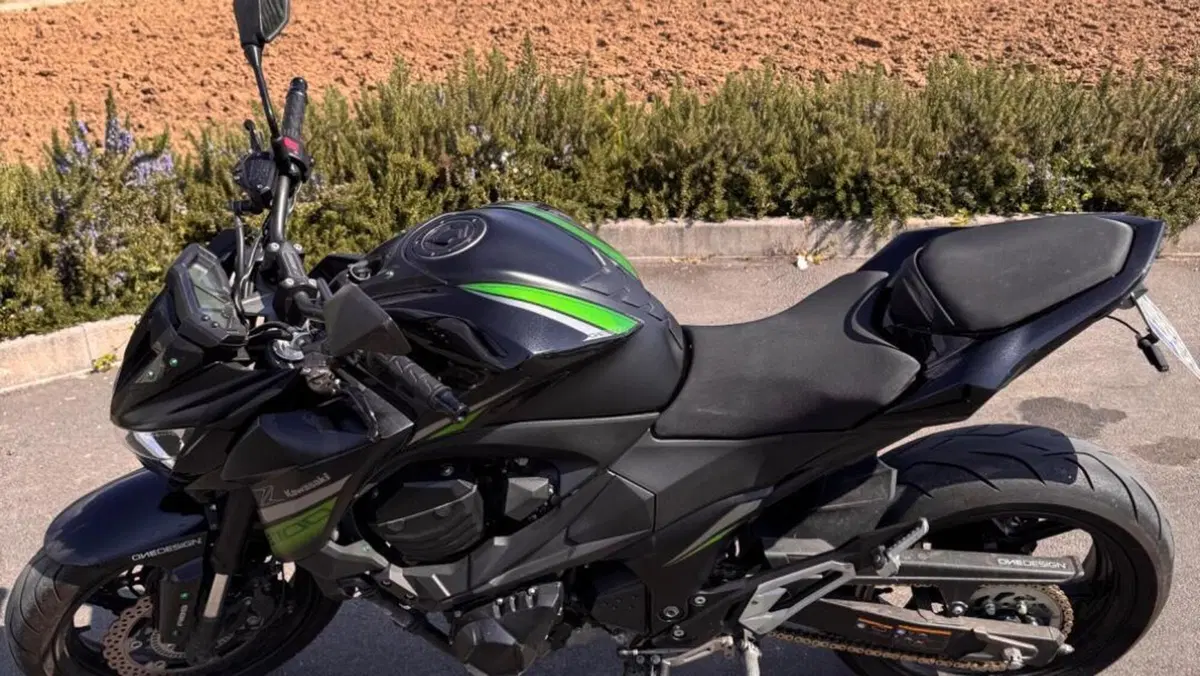 Kawasaki Z 800 e ABS (2012 - 16)  (2)