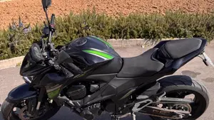 Kawasaki Z 800 e ABS (2012 - 16)  (2)