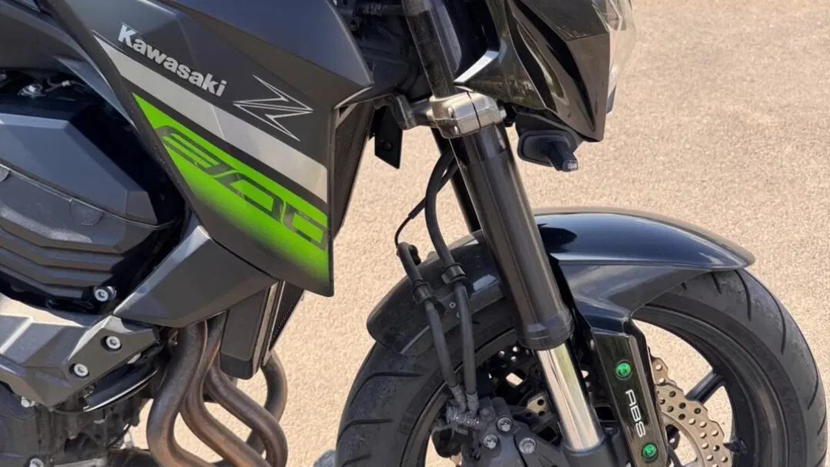 Kawasaki Z 800 e ABS (2012 - 16)  (5)