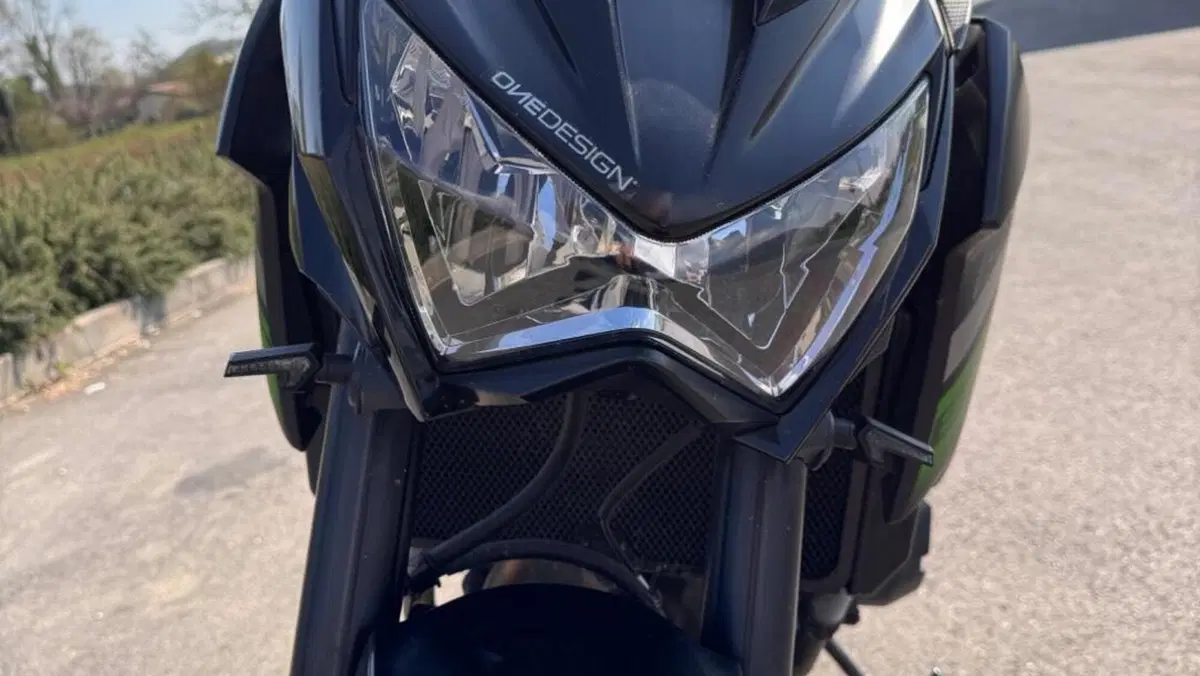 Kawasaki Z 800 e ABS (2012 - 16)  (6)