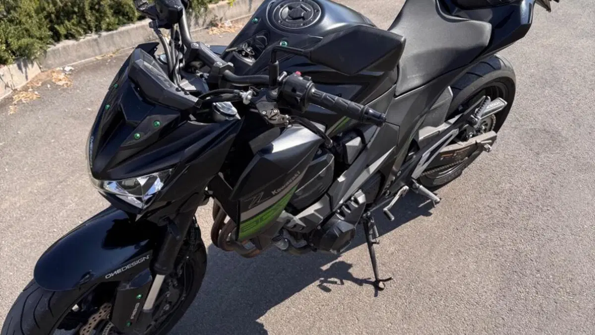 Kawasaki Z 800 e ABS (2012 - 16)  (7)