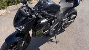 Kawasaki Z 800 e ABS (2012 - 16)  (7)