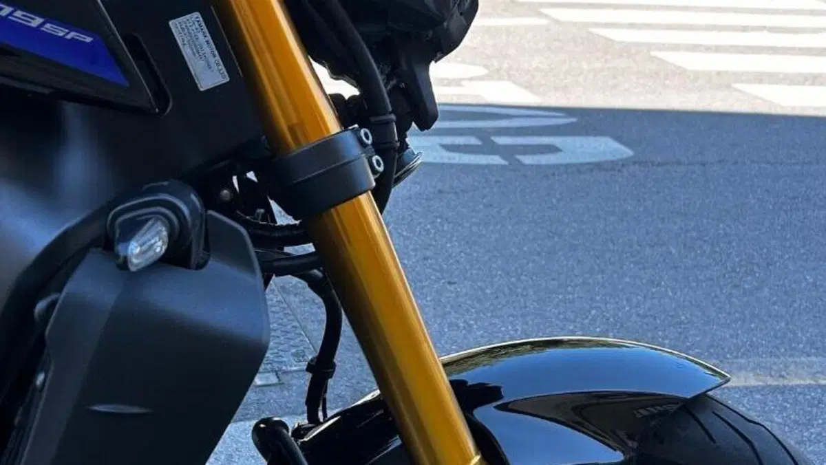 Yamaha MT-09 SP (2021 - 23)  (5)