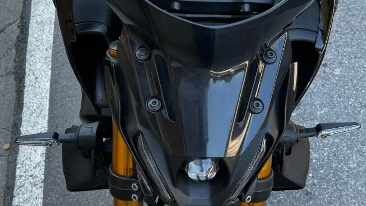 Yamaha MT-09 SP (2021 - 23)  (6)