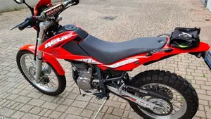 Betamotor Alp 4.0 (2008 - 17)  (3)