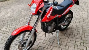 Betamotor Alp 4.0 (2008 - 17)  (5)