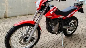 Betamotor Alp 4.0 (2008 - 17)  (6)