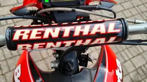 Betamotor Alp 4.0 (2008 - 17)  (7)