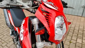 Betamotor Alp 4.0 (2008 - 17)  (9)