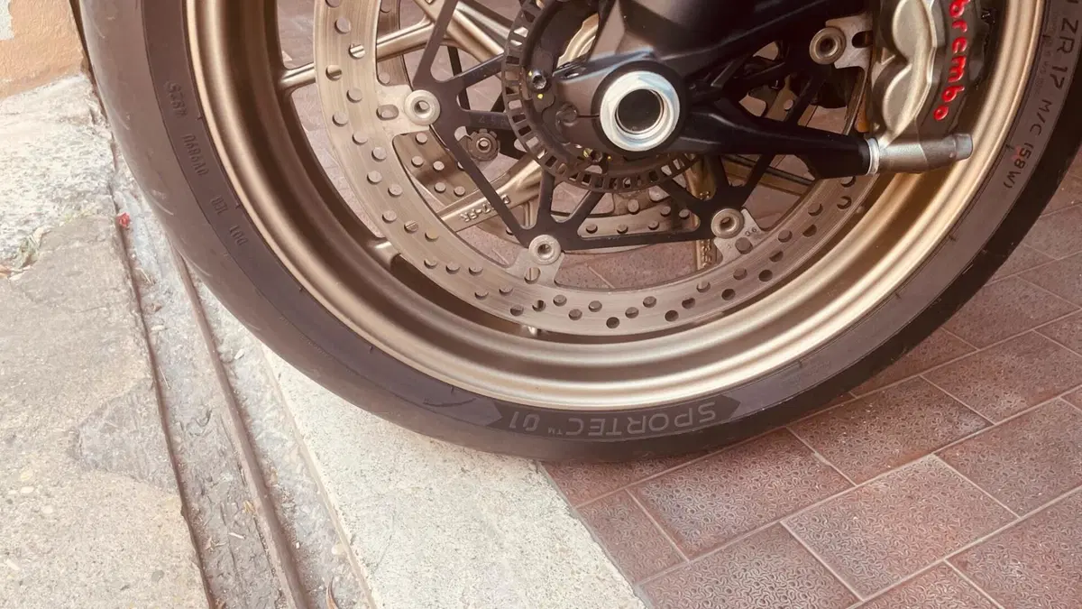 Ducati Multistrada 1260 S (2018 - 20)  (15)