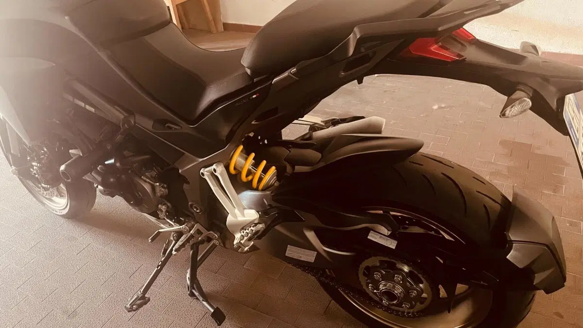 Ducati Multistrada 1260 S (2018 - 20)  (17)