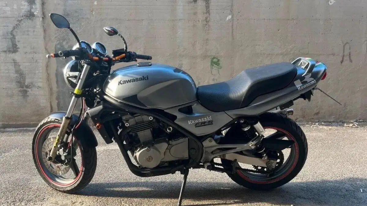 Kawasaki ER-5 500 (1996 - 00)  (2)