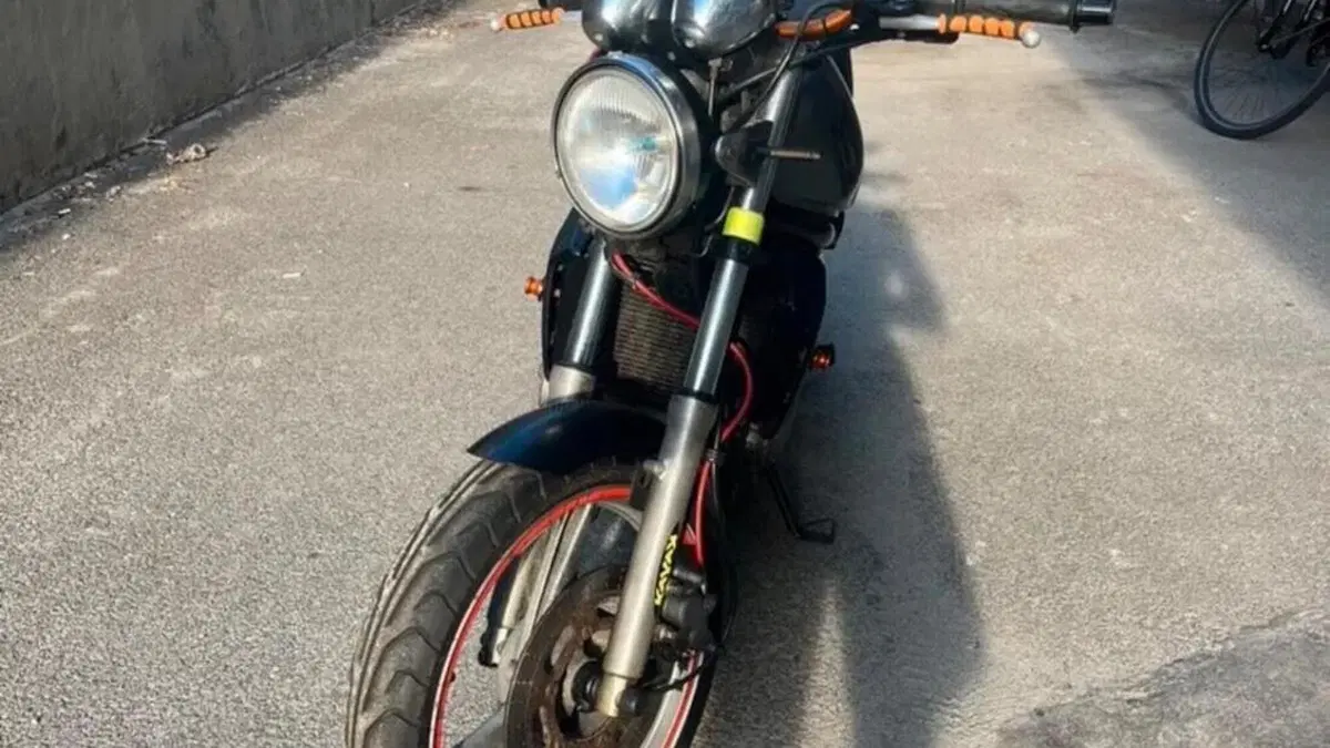 Kawasaki ER-5 500 (1996 - 00)  (3)
