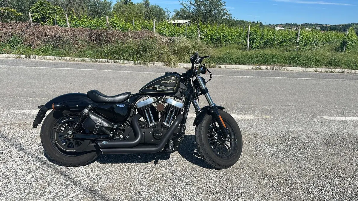 Harley-Davidson 1200 Forty-Eight (2016 - 20) 