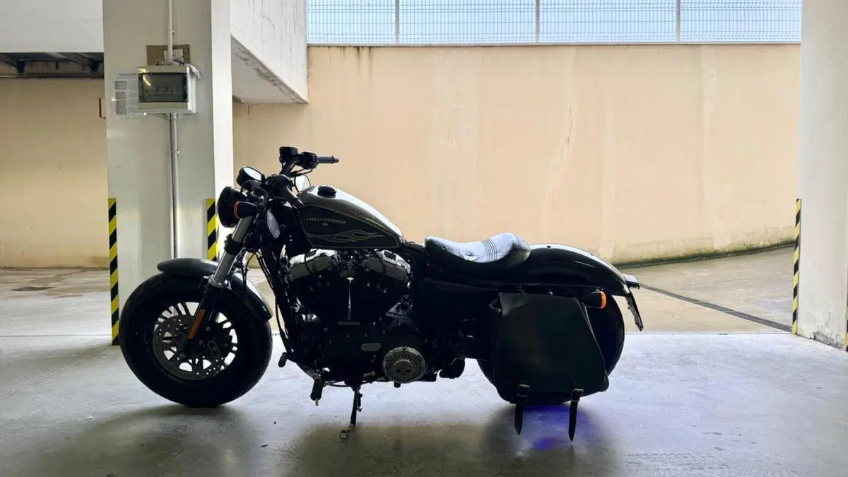 Harley-Davidson 1200 Forty-Eight (2016 - 20)  (2)