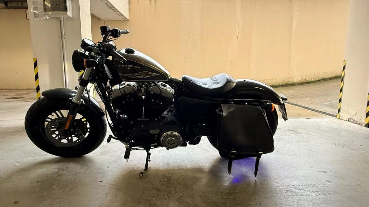 Harley-Davidson 1200 Forty-Eight (2016 - 20)  (6)