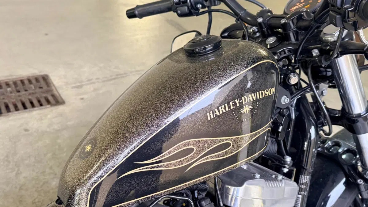 Harley-Davidson 1200 Forty-Eight (2016 - 20)  (7)