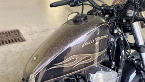 Harley-Davidson 1200 Forty-Eight (2016 - 20)  (7)