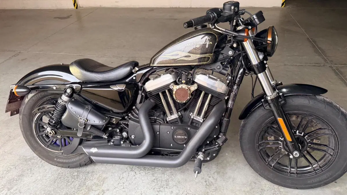 Harley-Davidson 1200 Forty-Eight (2016 - 20)  (8)