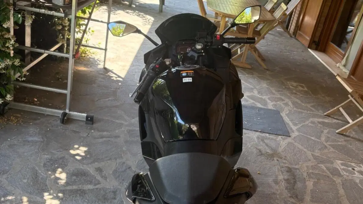 Kawasaki Ninja 500 (2024 - 26)  (2)