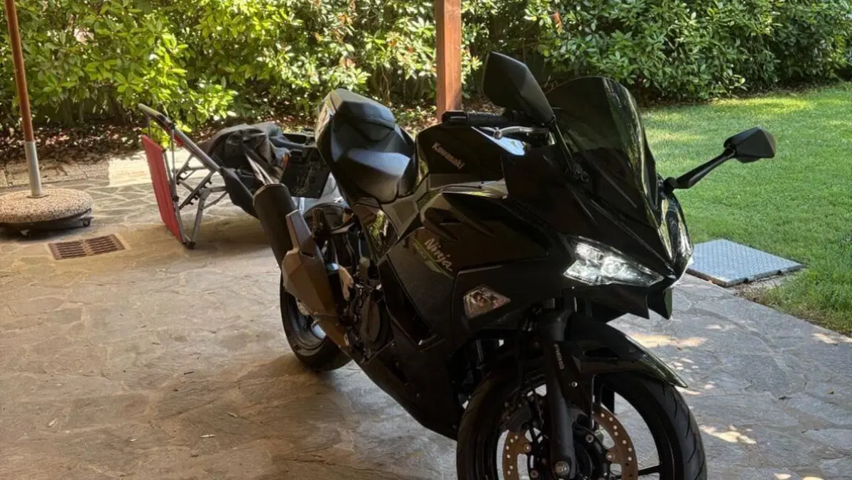 Kawasaki Ninja 500 (2024 - 26) 
