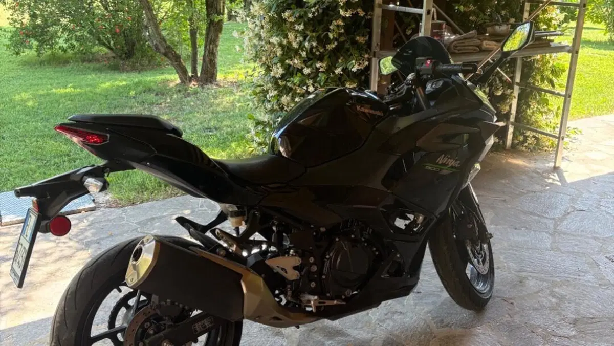 Kawasaki Ninja 500 (2024 - 26)  (4)