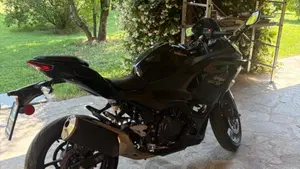 Kawasaki Ninja 500 (2024 - 26)  (4)