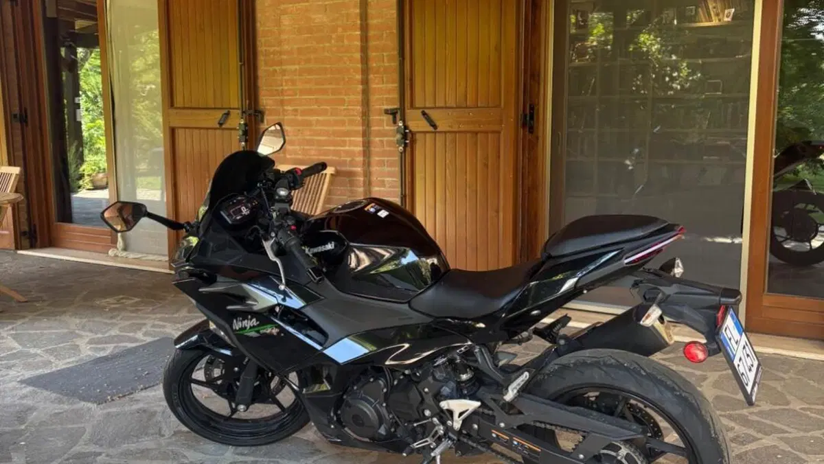 Kawasaki Ninja 500 (2024 - 26)  (5)