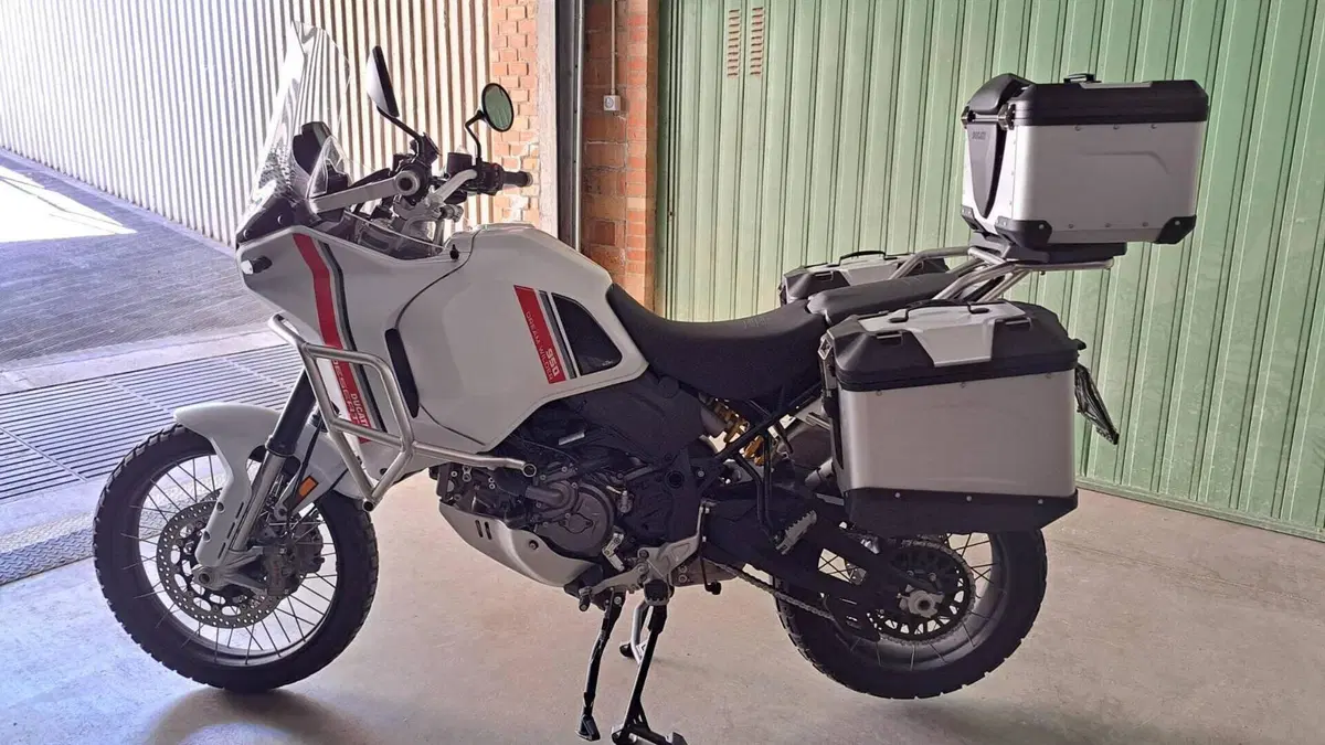 Ducati DesertX (2022 - 25) 