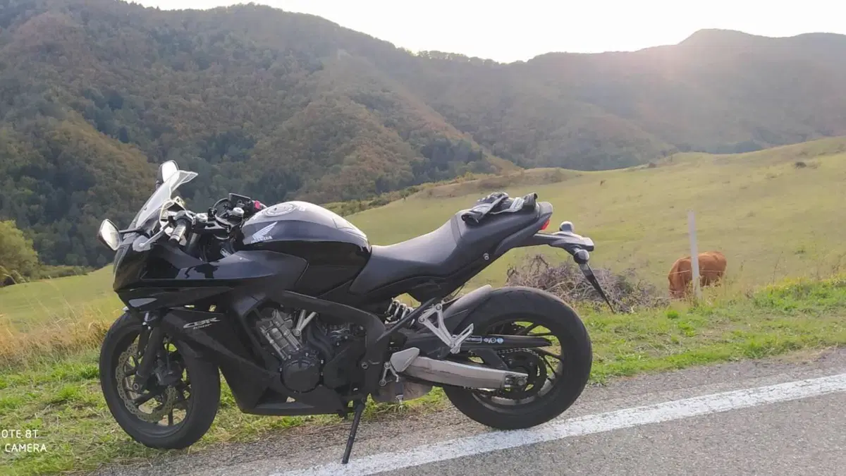 Honda CBR 650 F ABS (2014 - 17)  (8)